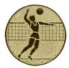 Volleybal heren